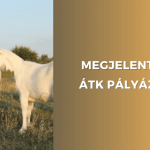 atk-palyazatok-megjelent