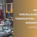 mikro-es-kisvallalkozasok-tamogatasa